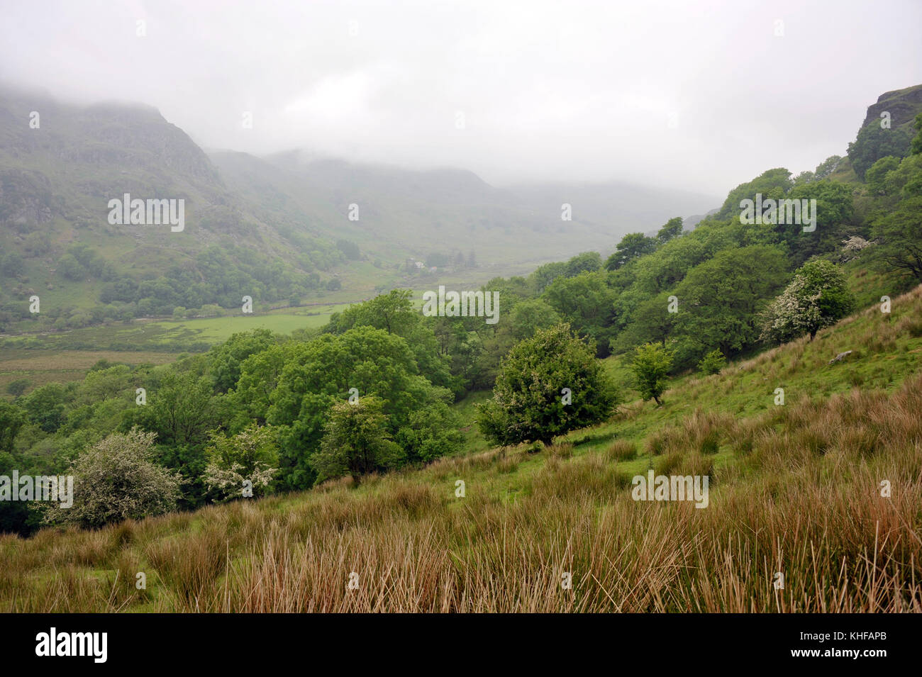 Misty morning looking south along Nant Gwynant Valley in the Snowdonia National Park, North Wales, UK. Stock Photo