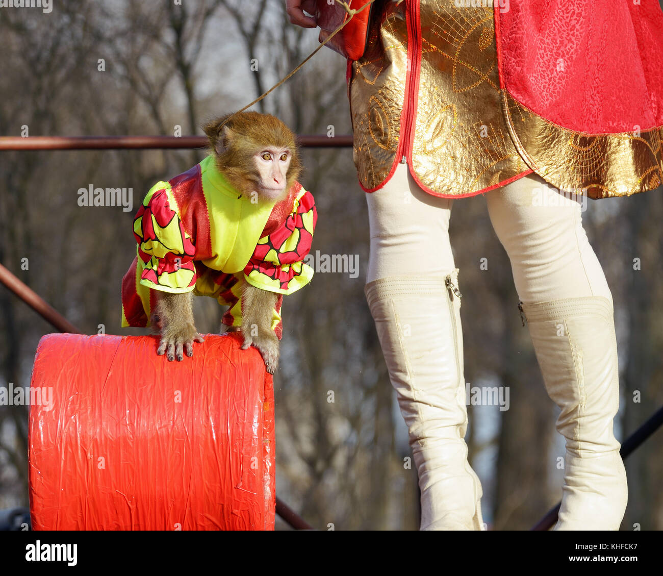 Monkey suit hires stock photography and images Alamy
