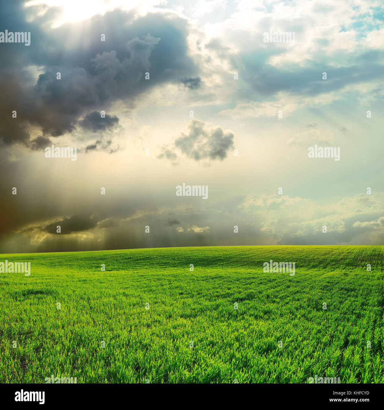 dramatic sky over green grass field Stock Photo - Alamy