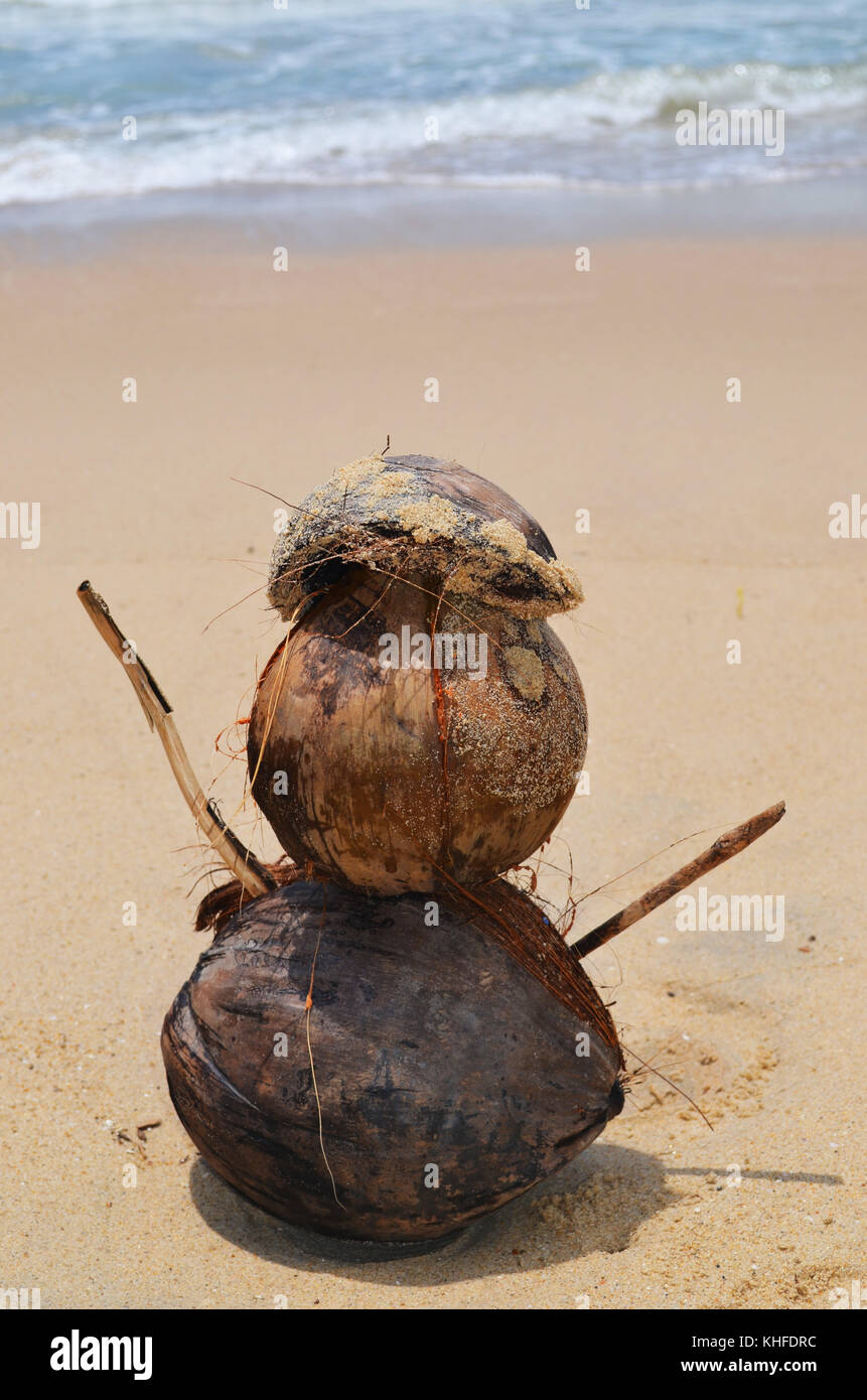 Coconut person made out of coconuts on beach Stock Photo Alamy