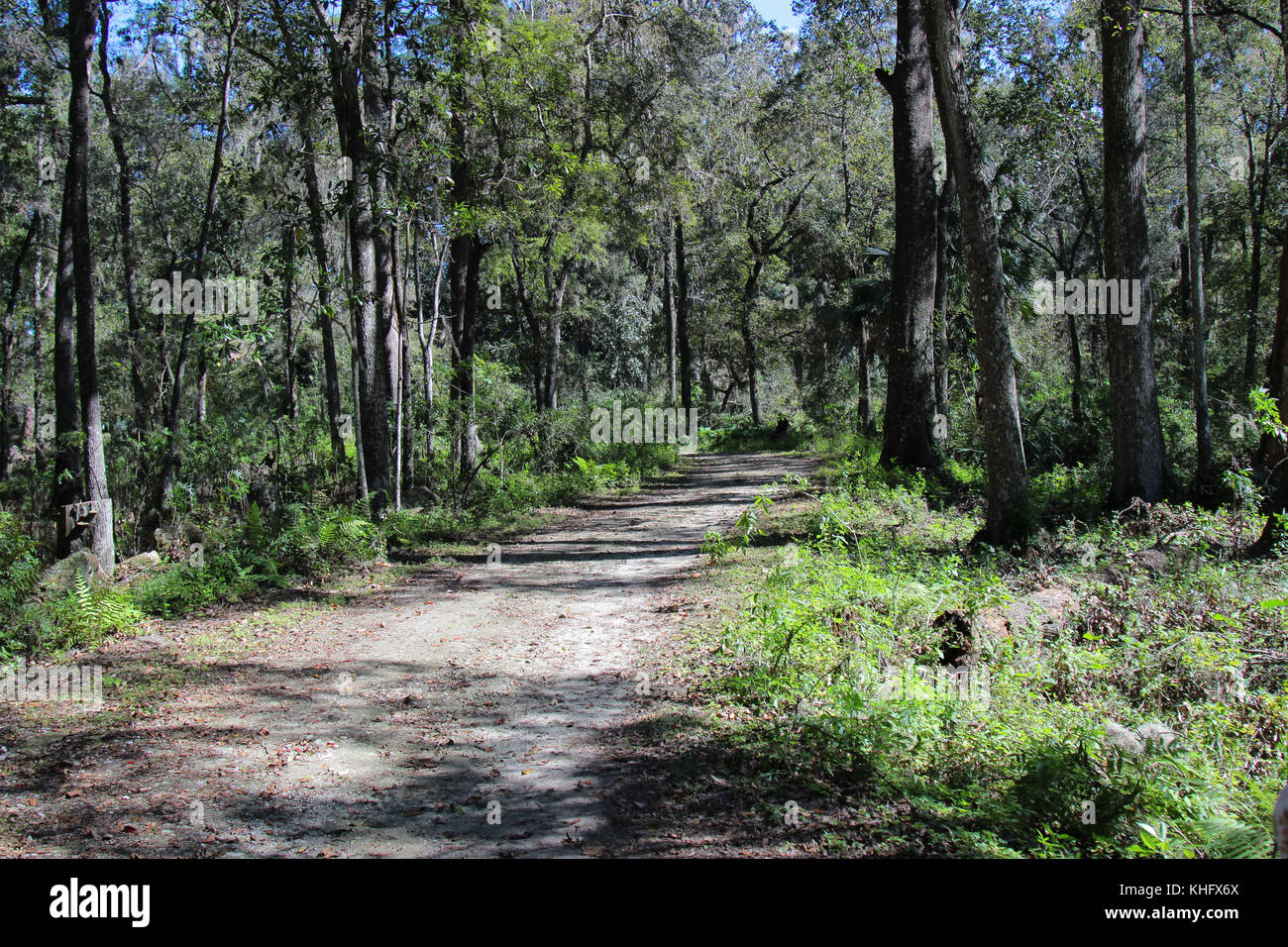 The nature trail at Silver Springs State Park Florida Stock Photo