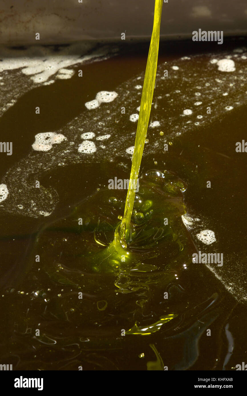Olive oil poor fall out an modern oil mill Stock Photo - Alamy