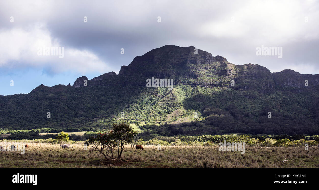 Viewpoint on Hulemalu Road, Kauai Stock Photo