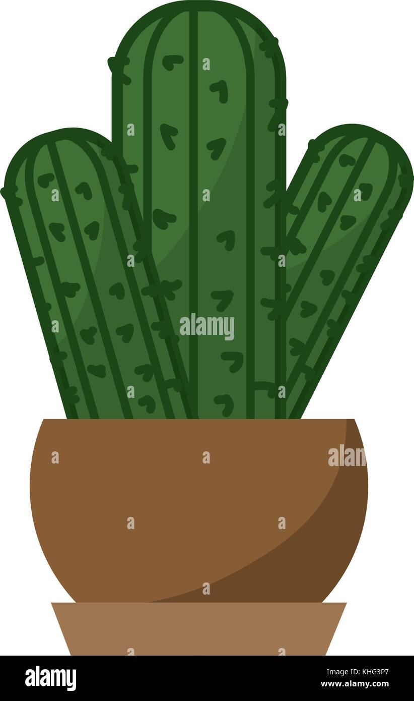 Cactus of plant desert and nature theme Isolated design Vector ...