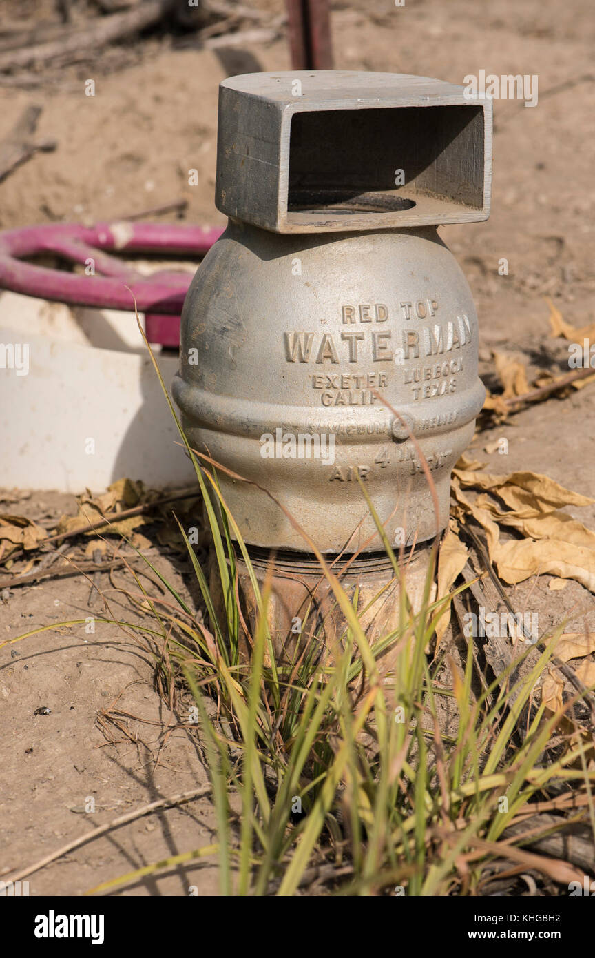 Flood irrigation air vent for a plum orchard near the U.S. Department