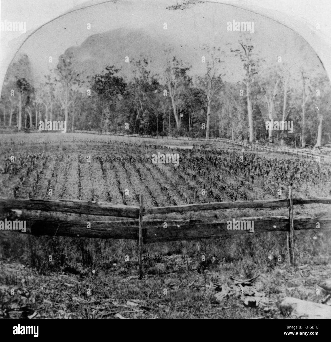 2 161289 Farm at Grovely, Brisbane, Queensland, 1867 Stock Photo