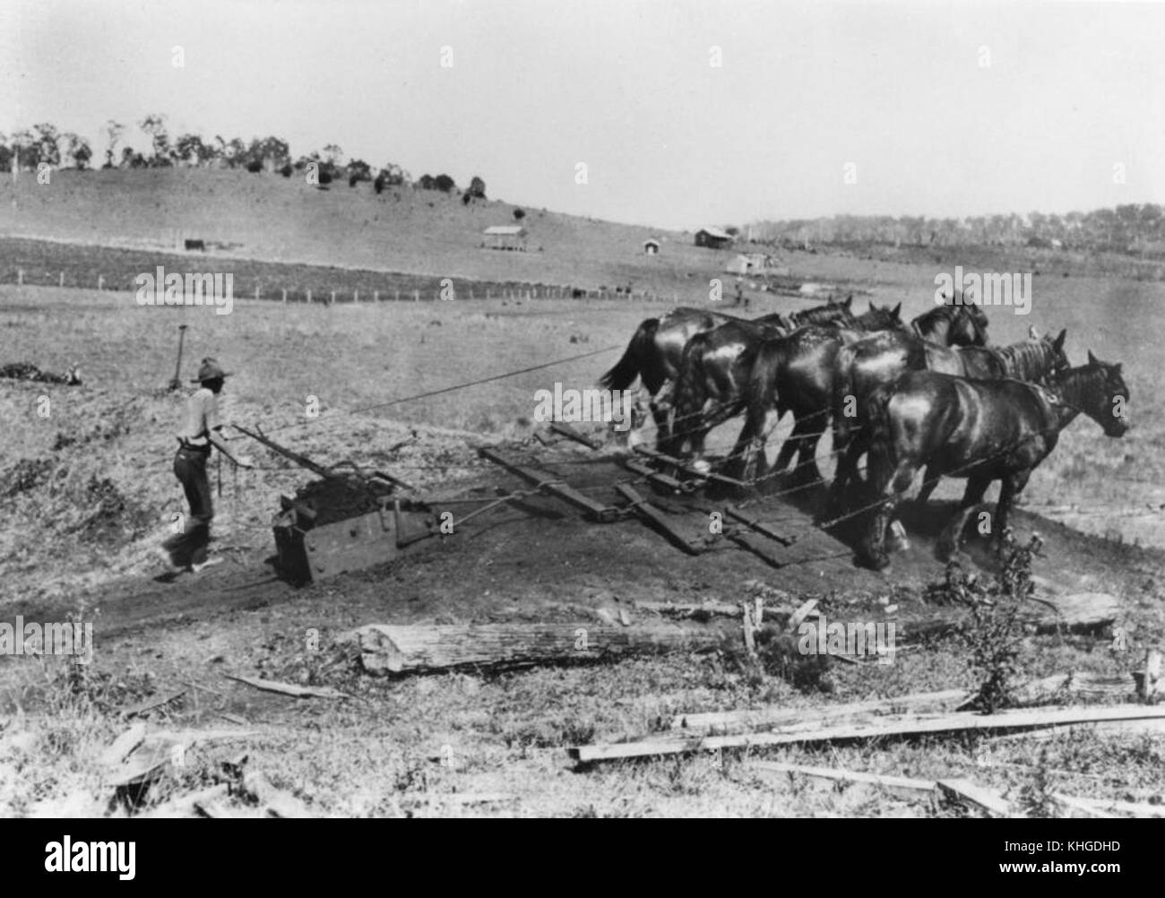 2 175563 Clearing land for a dam in the Wondai district, Queensland, 1933 Stock Photo
