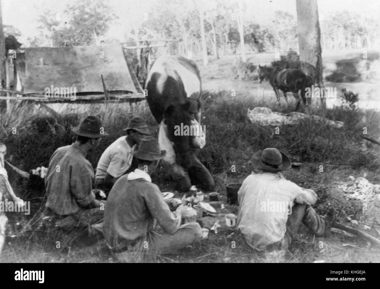 2 177475 Billy tea and damper in the bush, Queensland, 1899 Stock Photo ...
