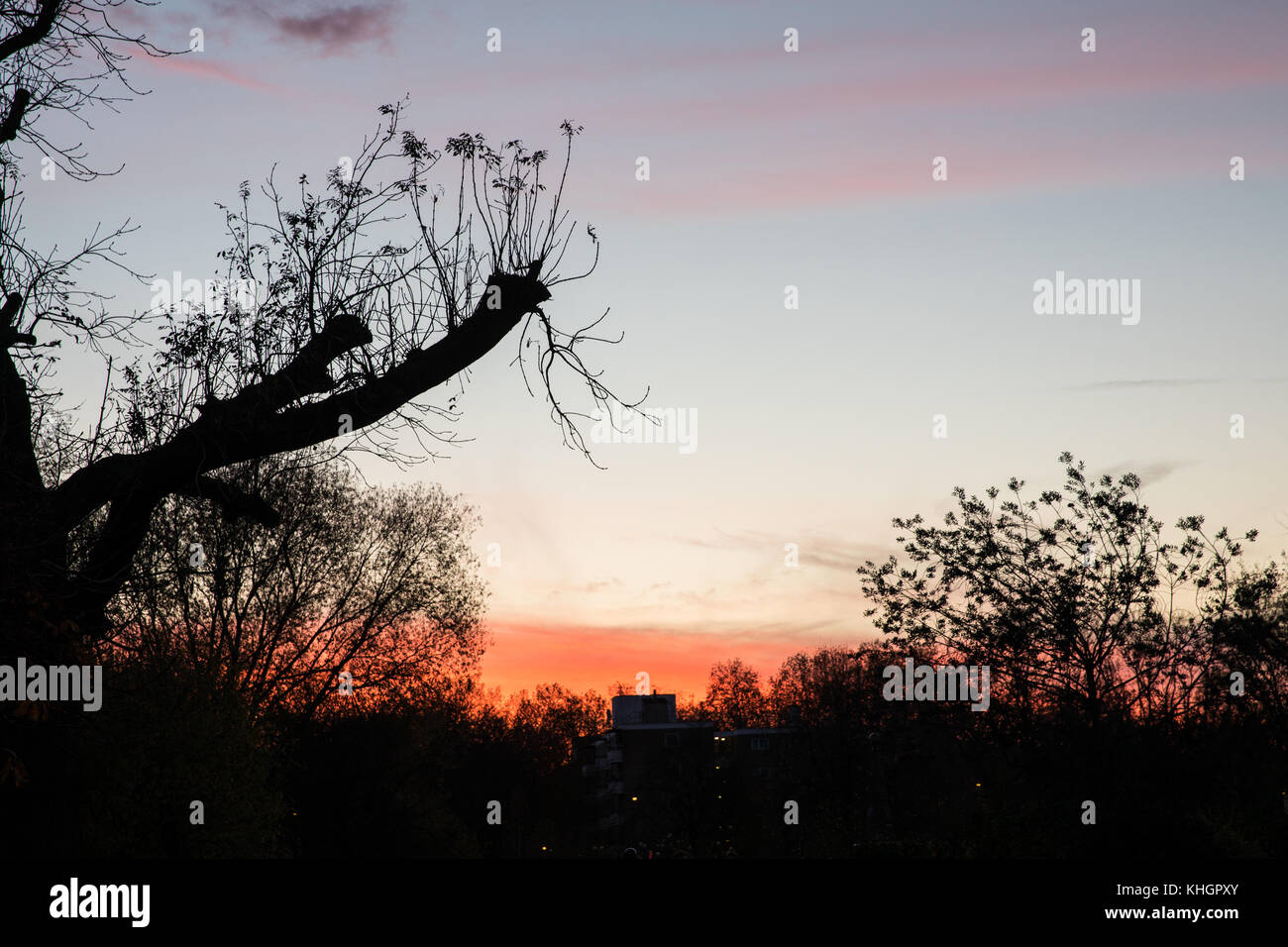 Clissold Park, Stoke Newington, London, UK. 17th Nov, 2017. UK Weather ...