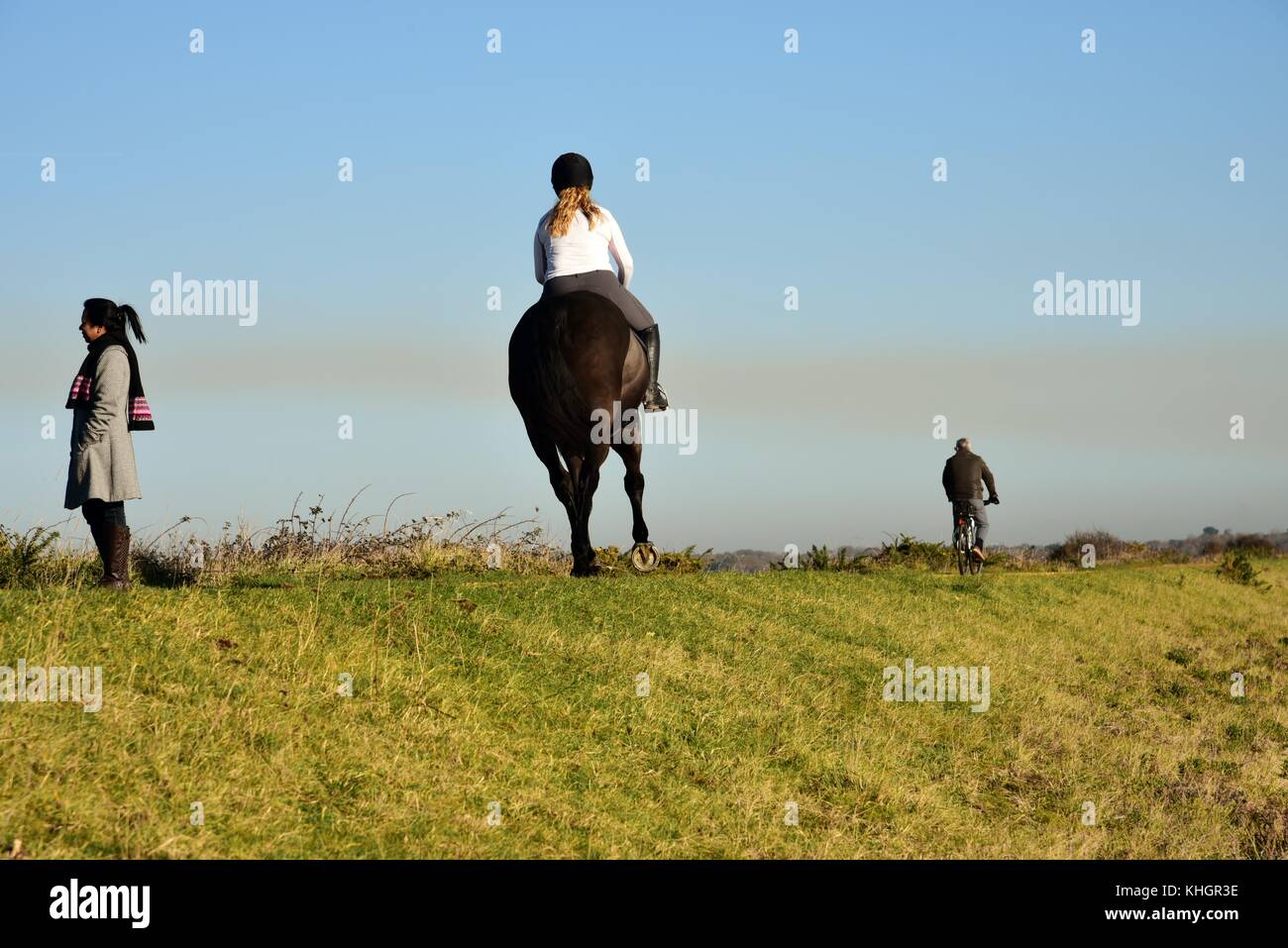 Hampshire, UK. 17th Nov, 2017. Birds, animals and people enjoy beautiful autumn weather in Lymington and Keyhaven Marshes Local Nature Reserve. Hampshire, UK. 17th November, 2017. Credit: Ajit Wick/Alamy Live News Stock Photo