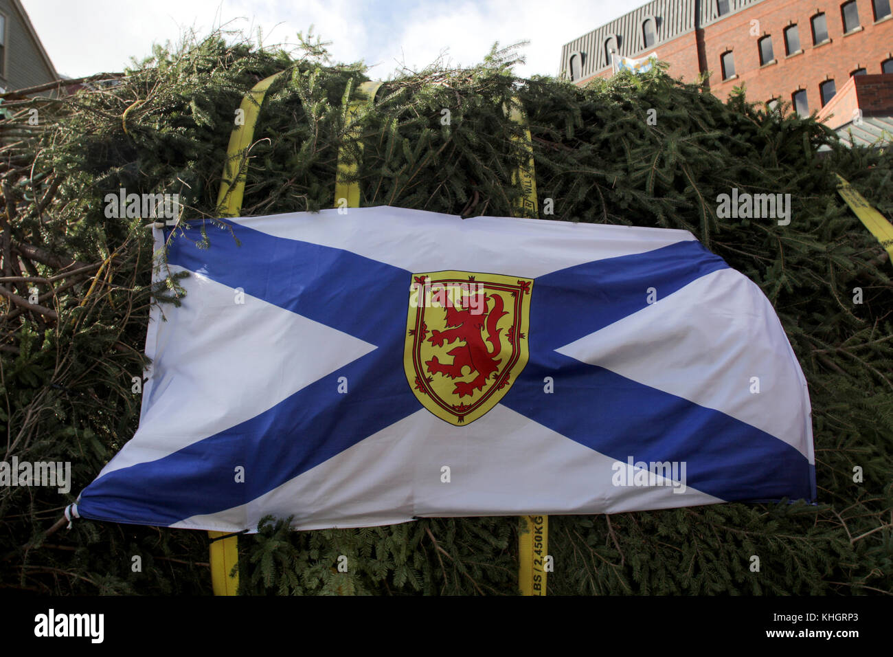 Halifax, Canada. 17th Nov, 2017. CANADA The annual Tree for Boston