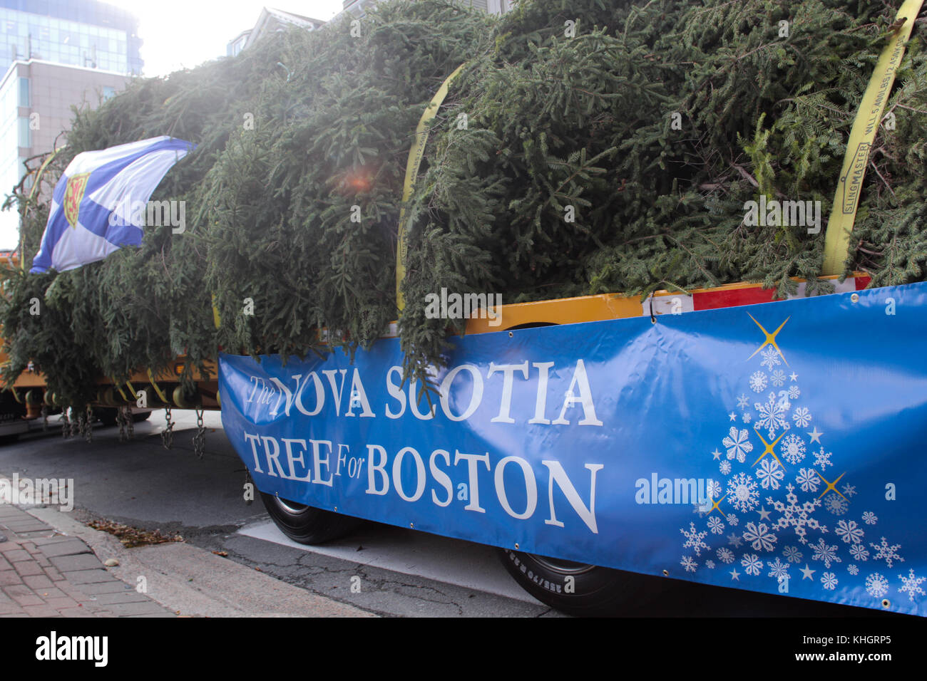 Halifax, Canada. 17th Nov, 2017. CANADA The annual Tree for Boston
