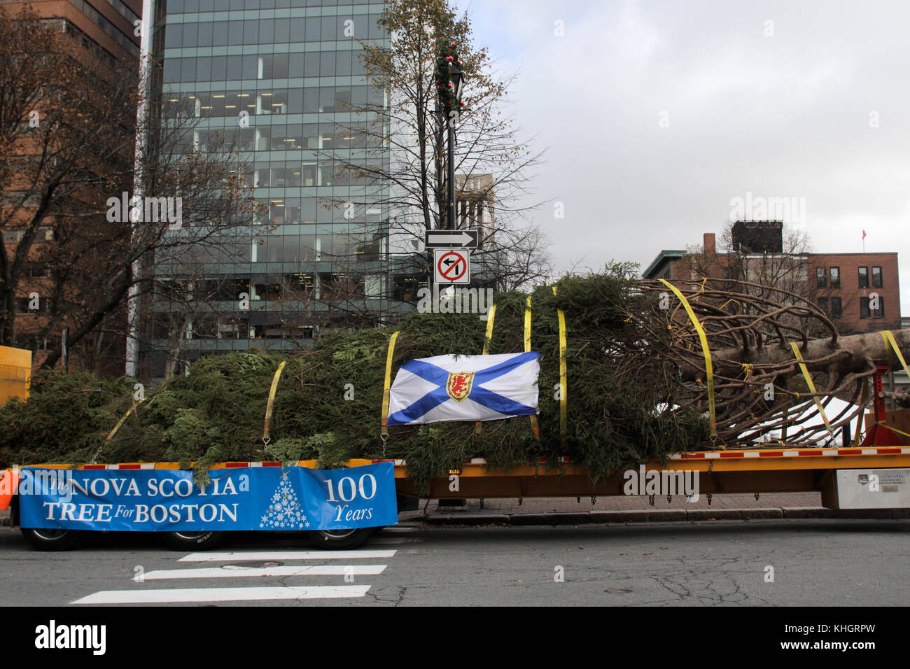Halifax, Canada. 17th Nov, 2017. CANADA The annual Tree for Boston