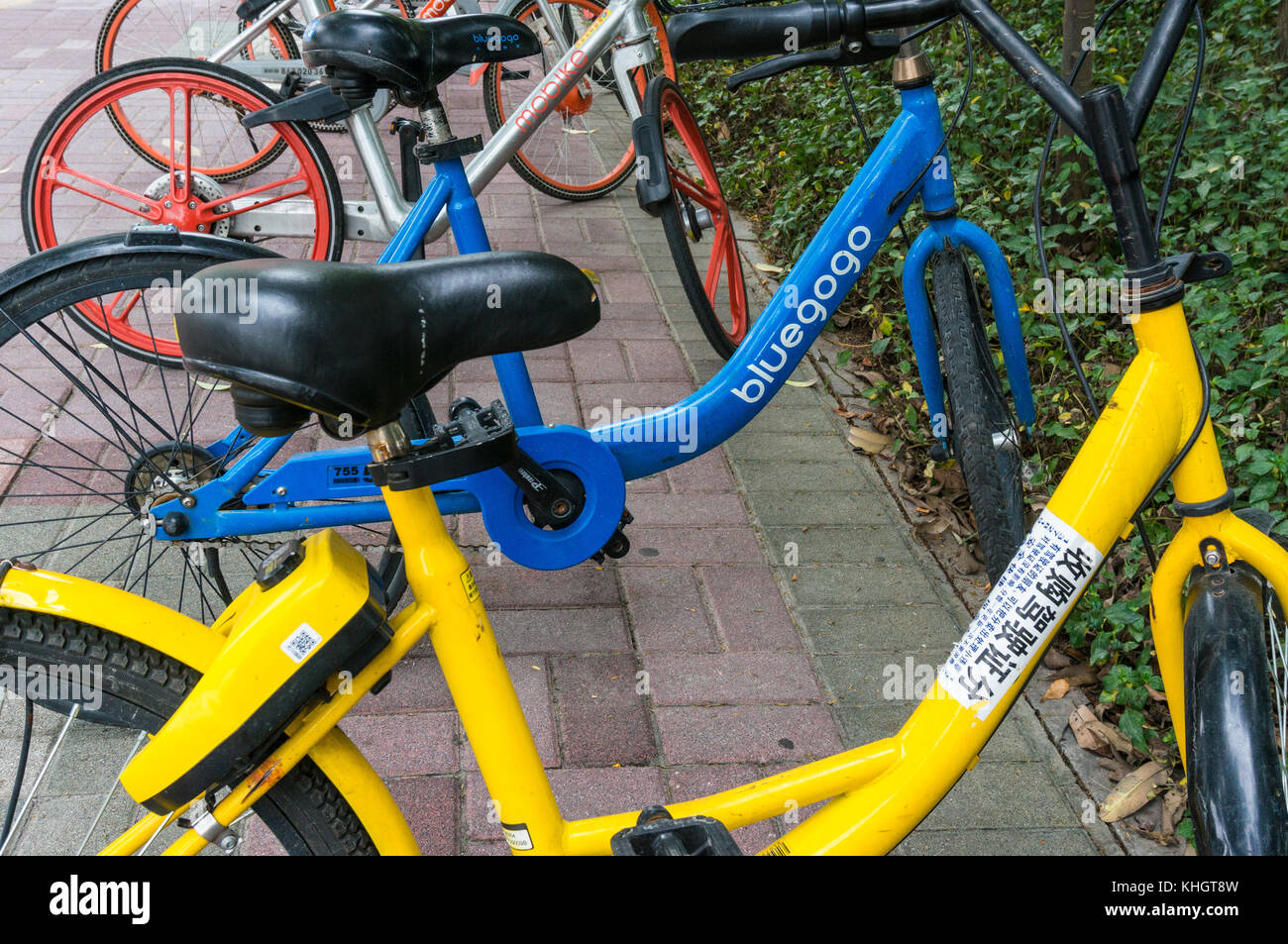 bluegogo bike