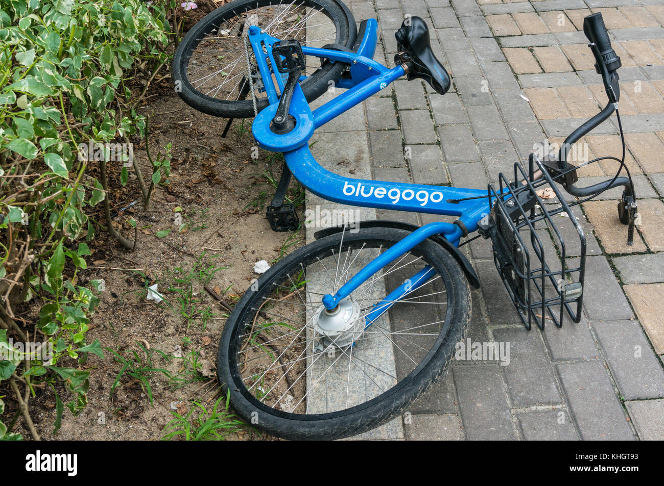 bluegogo bike