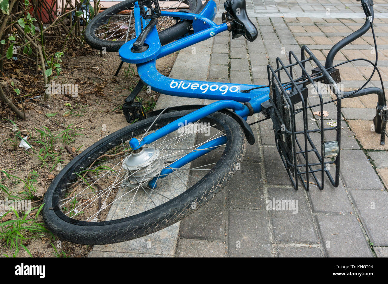 bluegogo bike