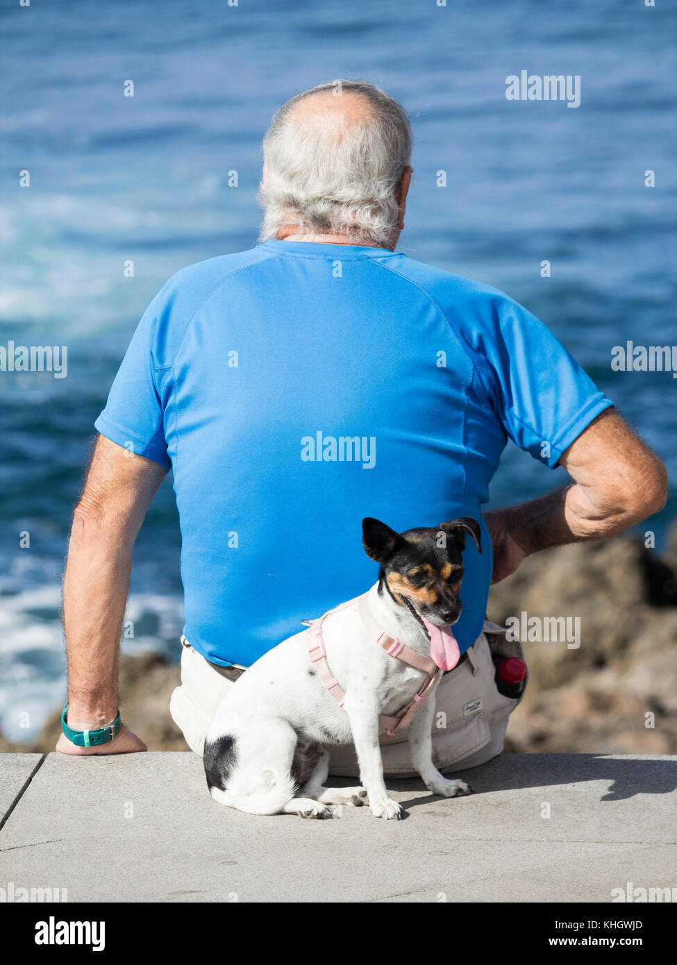 Elderly man looking out to sea with small, panting dog behind him. Stock Photo