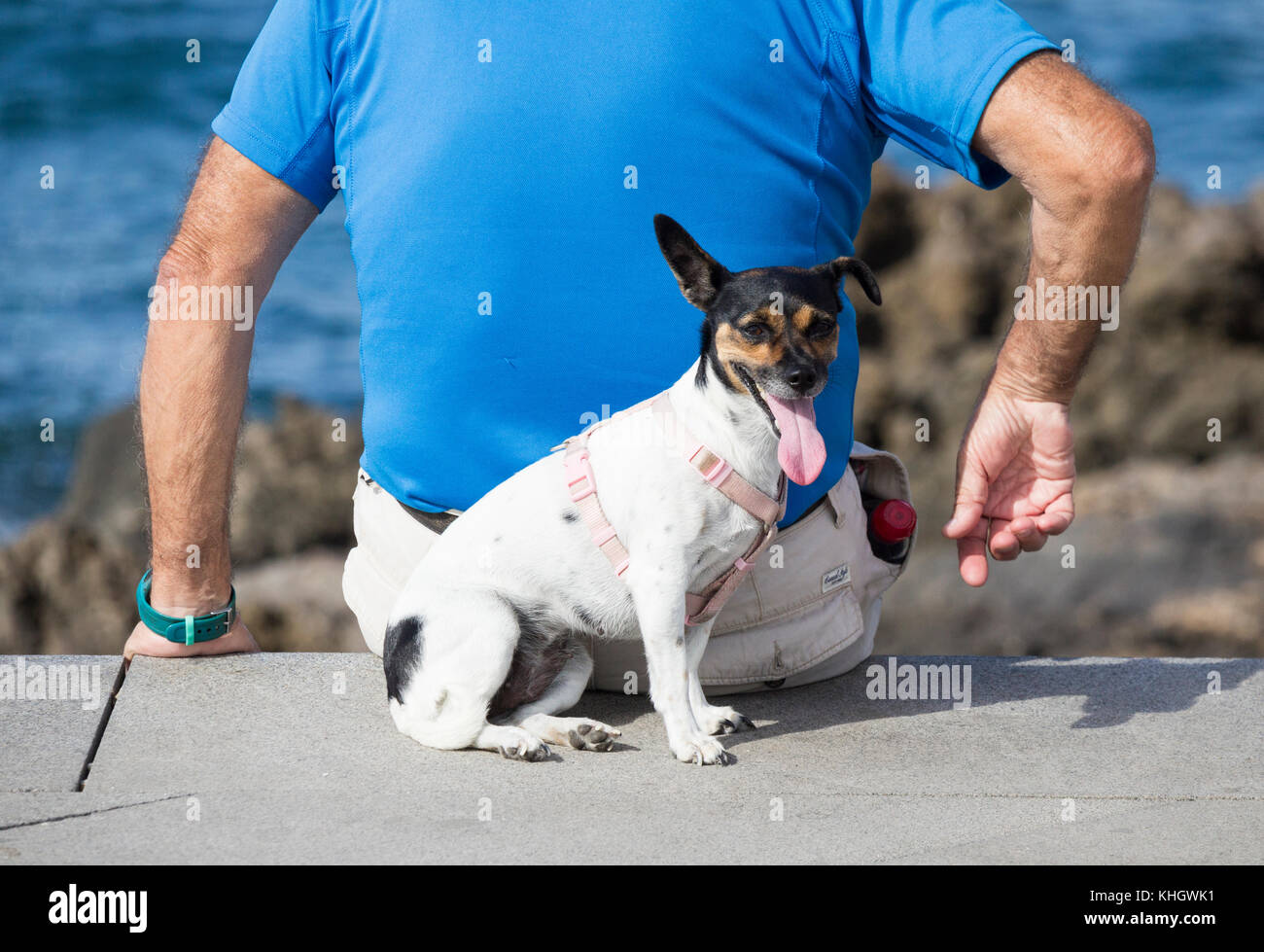 Elderly man looking out to sea with small, panting dog behind him. Stock Photo