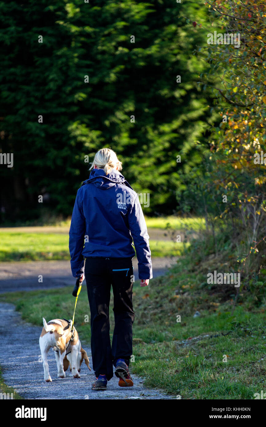 Dundee, Tayside, Scotland, UK. 19th November, 2017. UK weather: Sunny and cold in Dundee with temperatures plummeting to near freezing, 5°C. A dog walker takes her pet dog for a walk at the Clatto Country Park in Dundee. Credits: Dundee Photographics/Alamy Live News Stock Photo