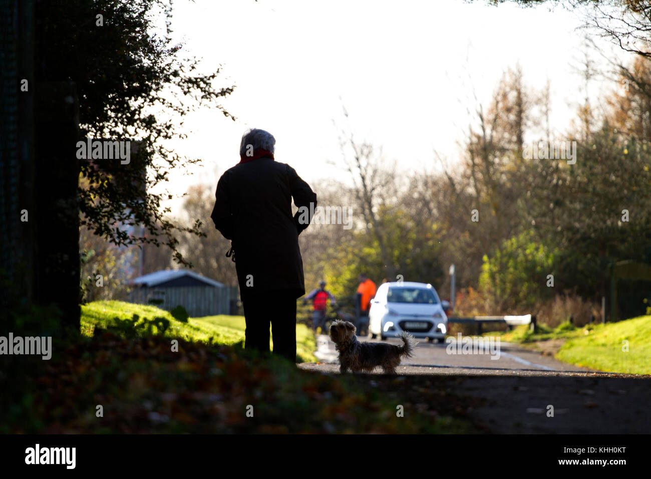 Lady walker her dog hires stock photography and images Alamy