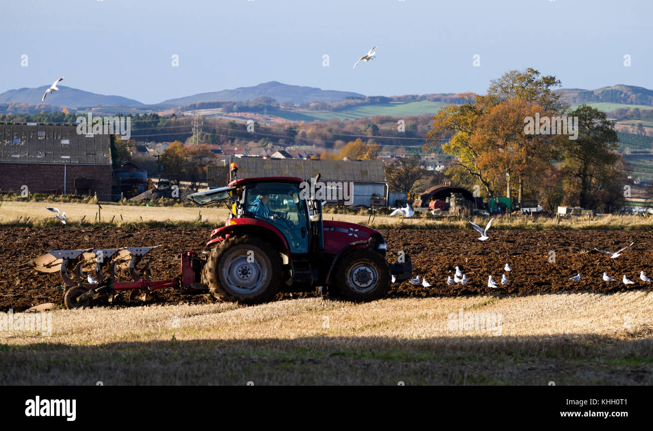 Dundee, Tayside, Scotland, UK. 19th November, 2017. UK weather: Sunny and cold in Dundee with temperatures plummeting to near freezing, 5°C. A farmer is ploughing his field preparing for next year crop growing in rural Dundee. Credits: Dundee Photographics/Alamy Live News Stock Photo