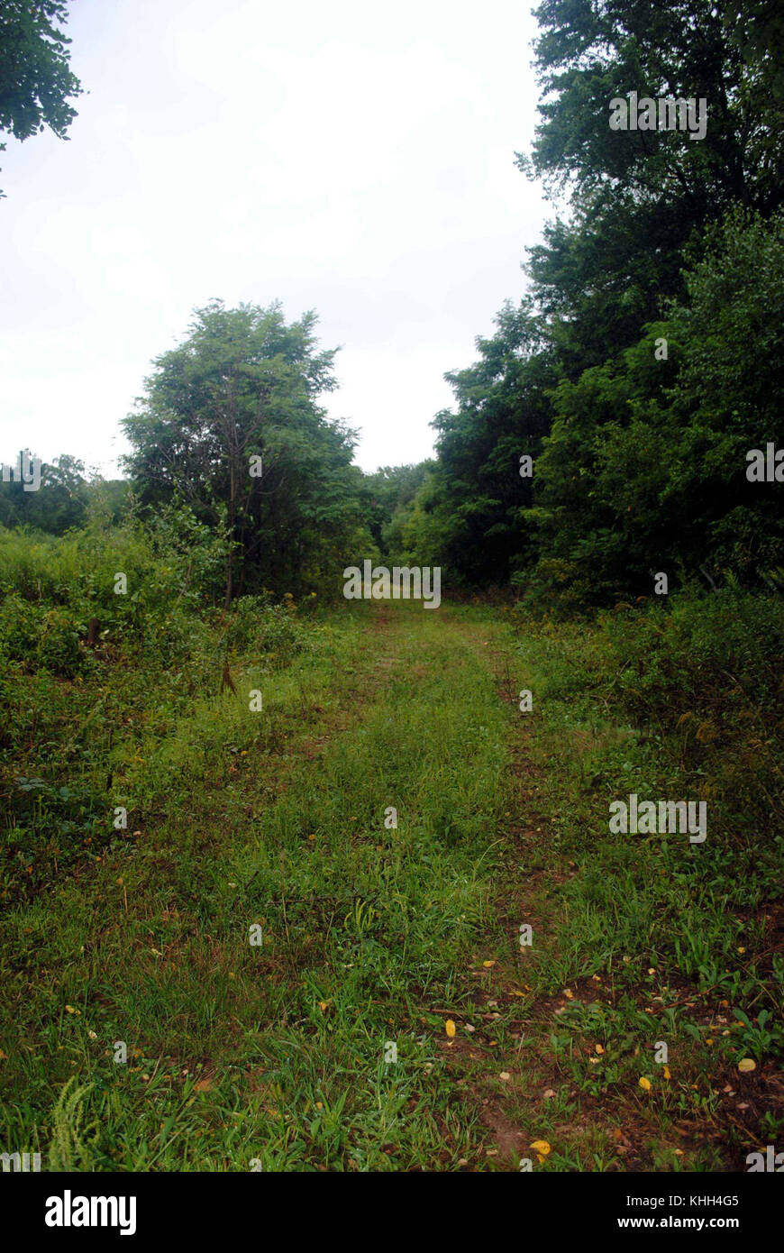 Abandoned horse racing track field Stock Photo Alamy