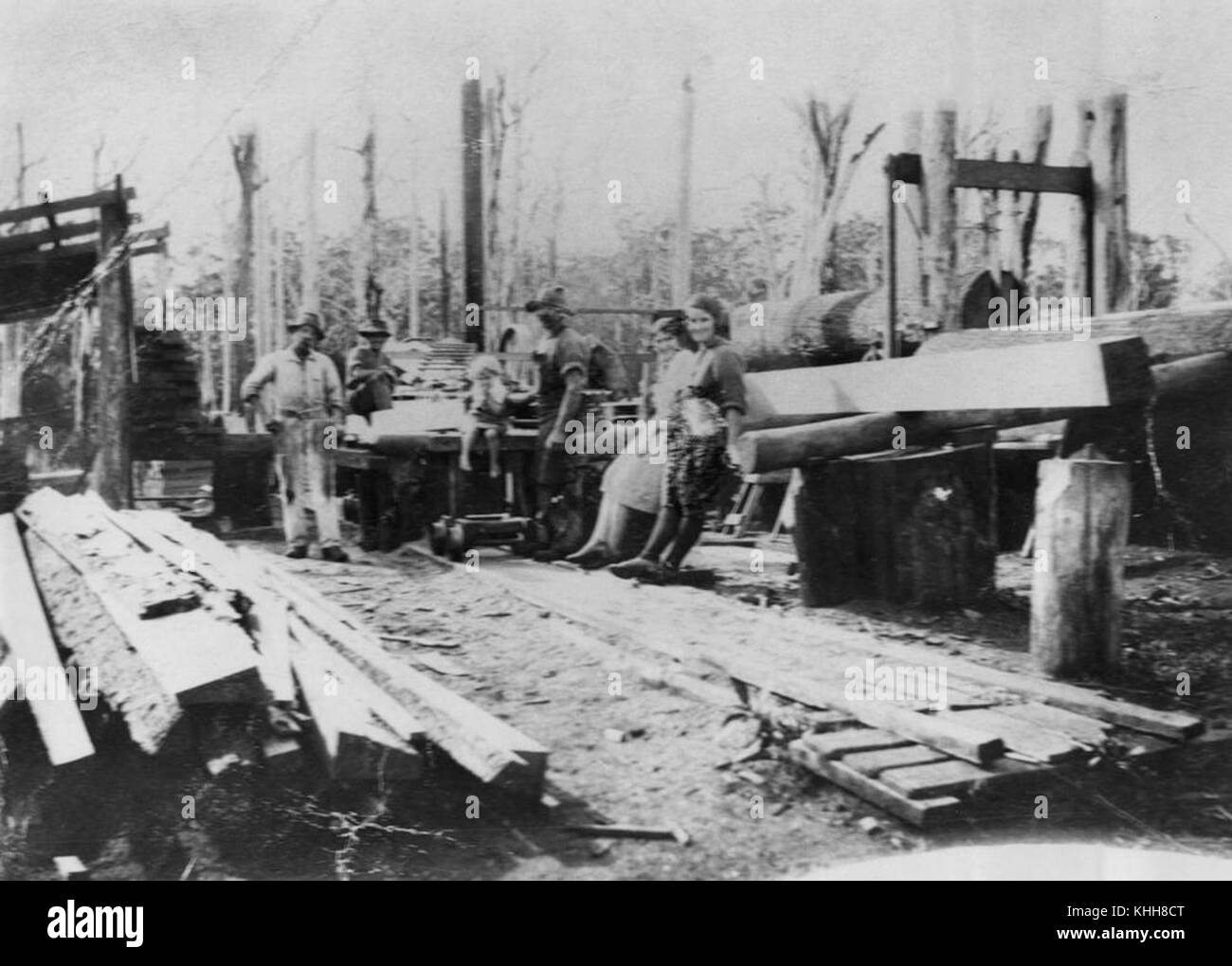 1 15198 Workers at Manitzky's sawmills, Mt. Tamborine, ca. 1928 Stock