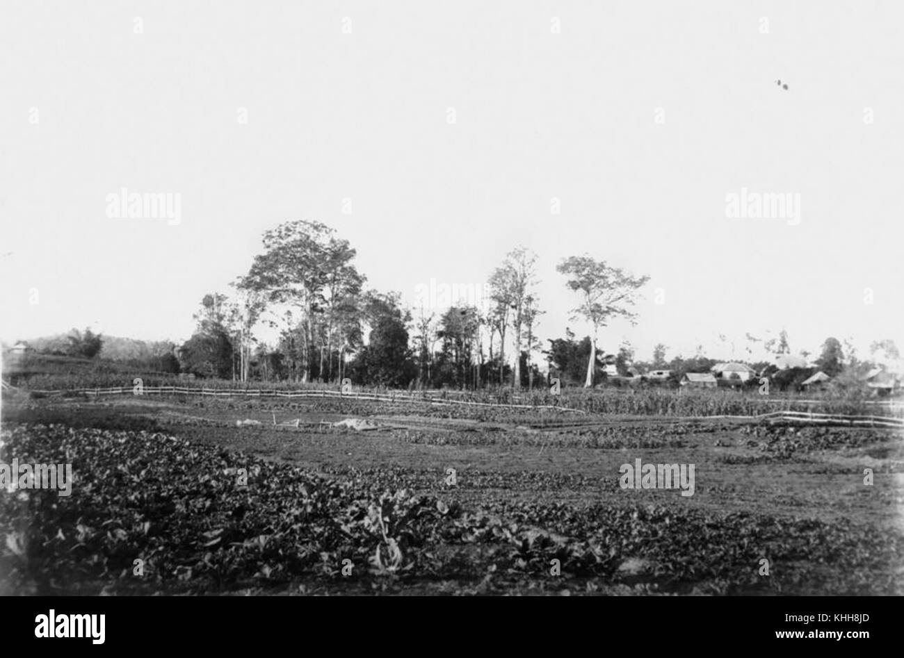 Kelvin grove hires stock photography and images Alamy