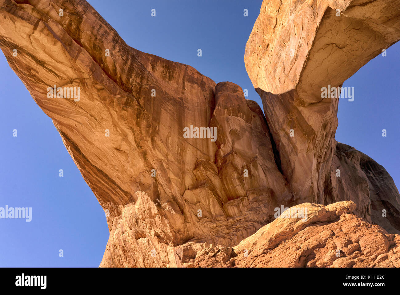 Detail from Arches National Park, Utah, USA that looks like a petrified giant Stock Photo