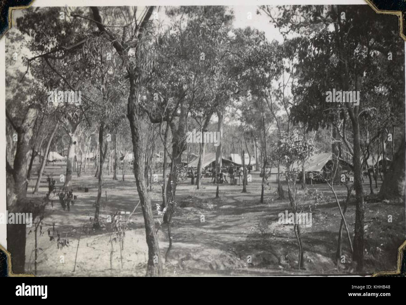 2 247391 Army training camp at Rollingstone, north Queensland, 1943 Stock Photo