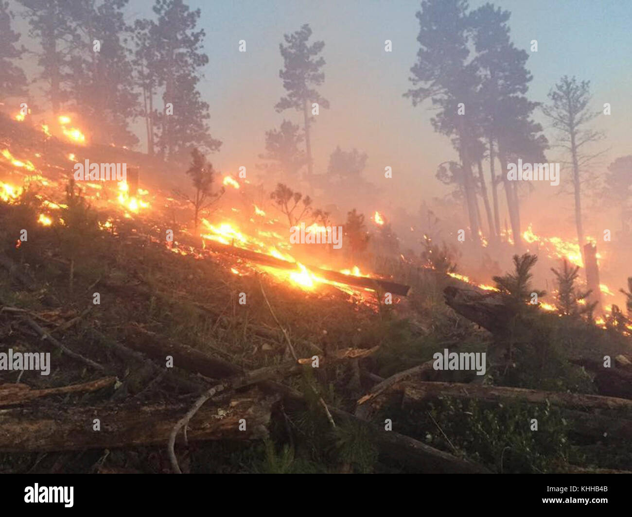 The Crow Peak Fire located in the Black Hills National Forest near