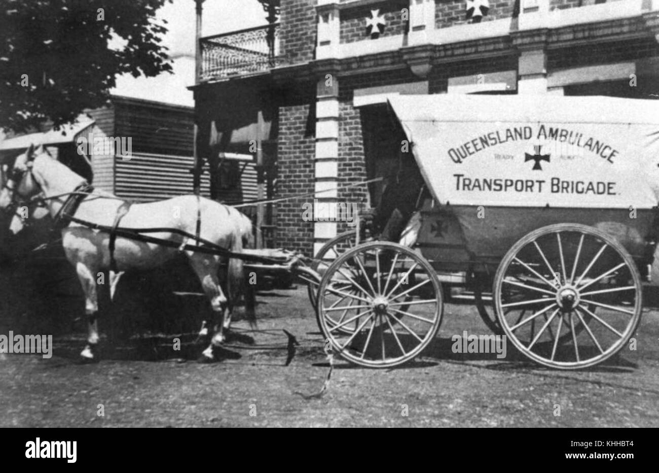 1 42975 Horsedrawn ambulance in Toowoomba, ca. 1910 Stock Photo