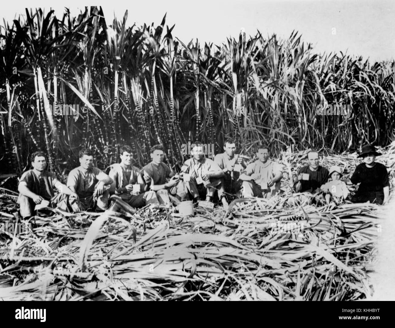 2 109604 Italian sugar cane cutters, Innisfail District, Queensland