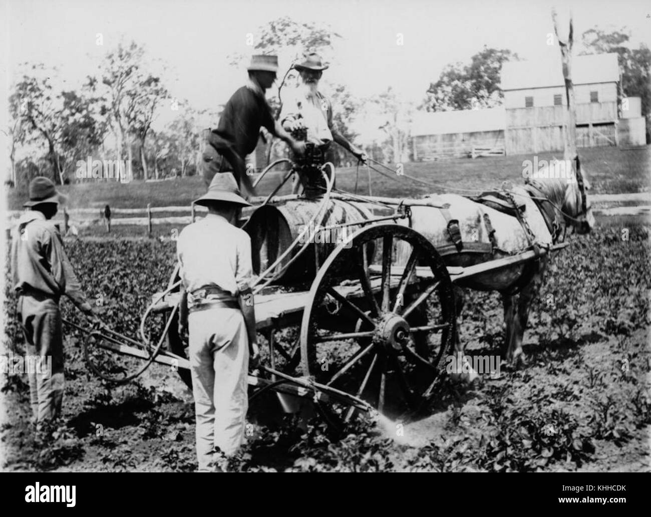 1 258128 Spraying the crops with horsedrawn equipment, ca. 1915 Stock Photo