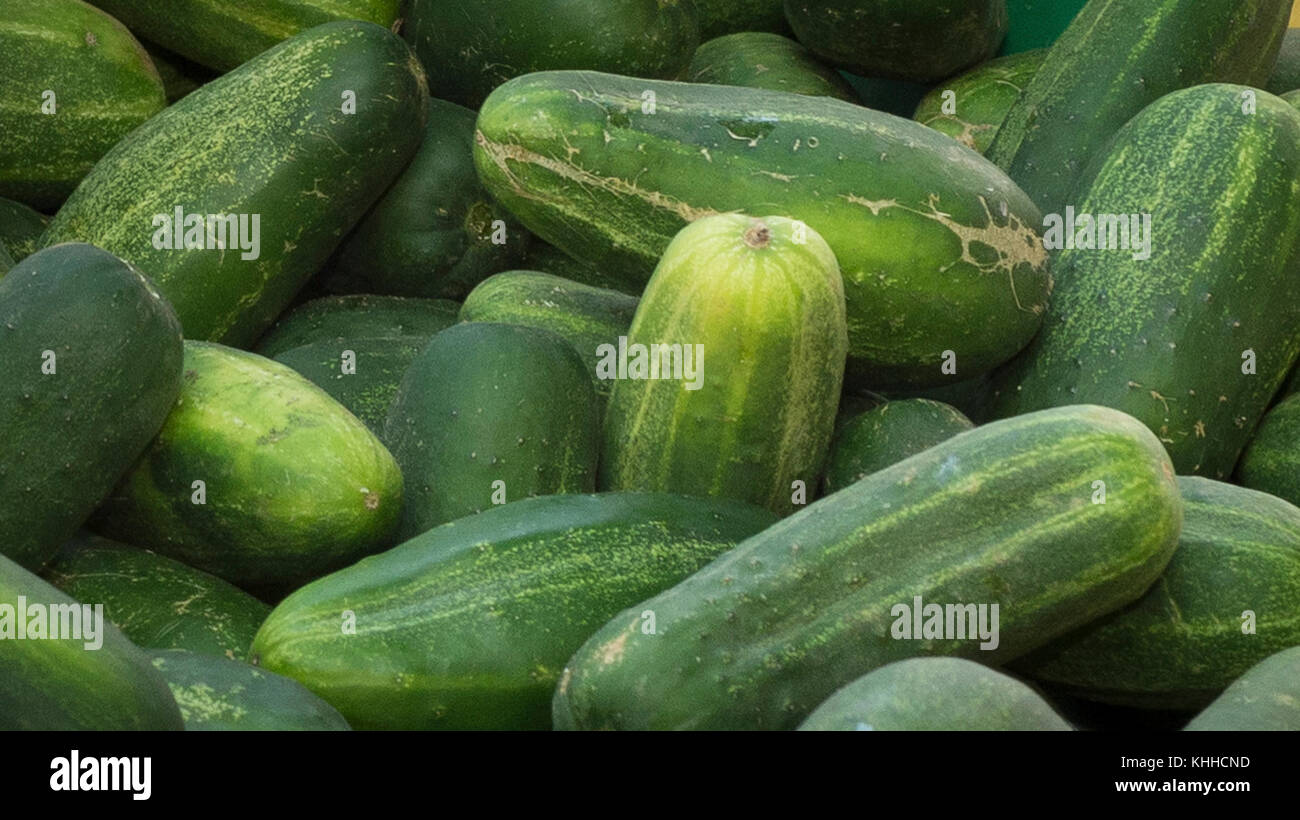 Cucumbers such as these from the vendors at the U.S. Department of