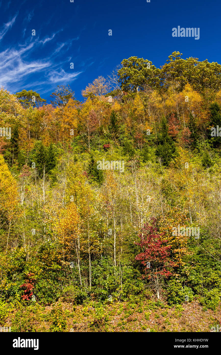 Smoky Mountains Fall color Stock Photo Alamy