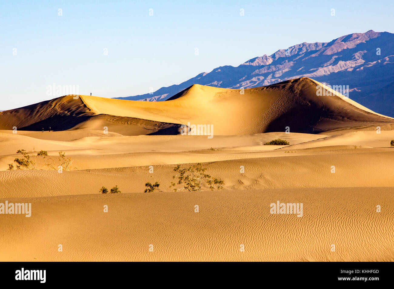 Sand Dunes in Death Valley Stock Photo