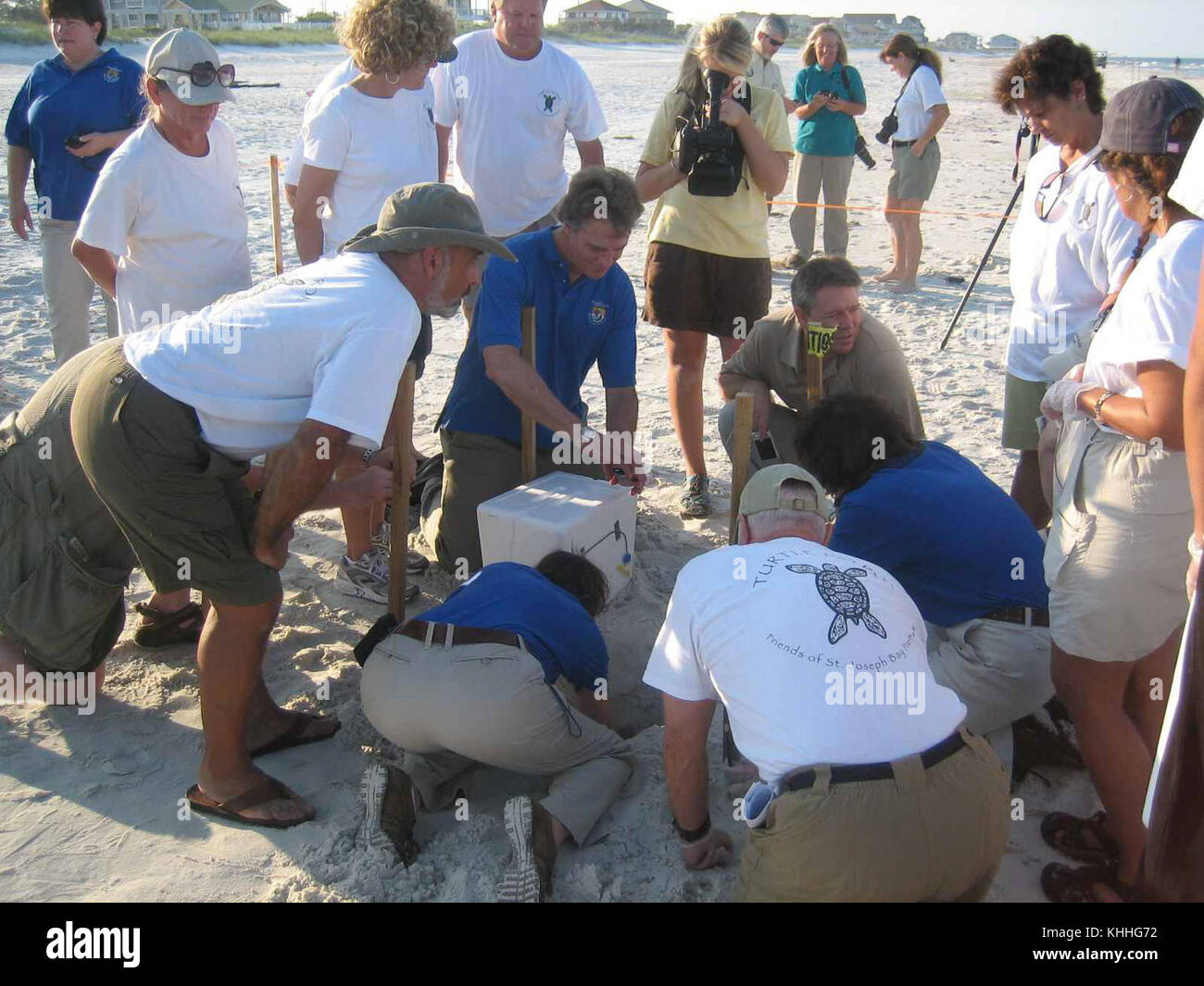 A crowd of trained sea turtle volunteers watching Stock Photo - Alamy