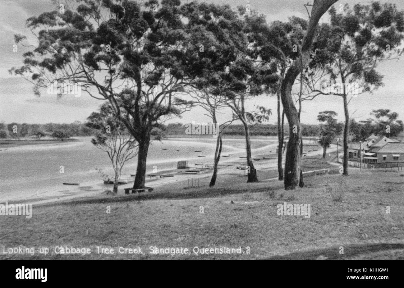 1 185731 Cabbage Tree Creek, ca. 1905 Stock Photo Alamy