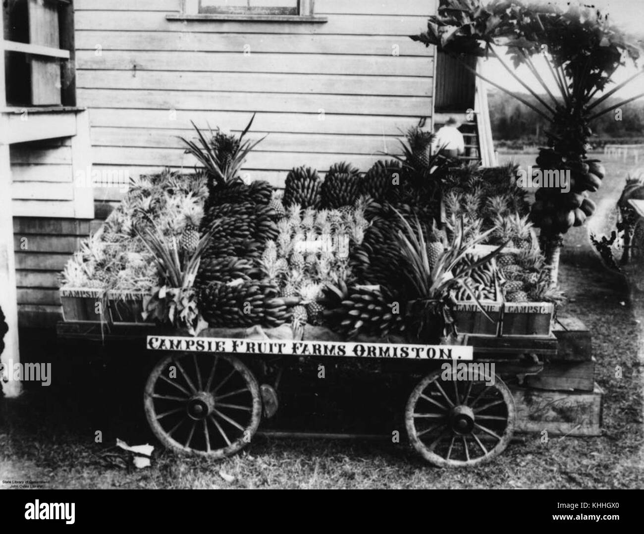2 196271 Show exhibit for Campsie Fruit Farms at Ormiston, 1914 Stock