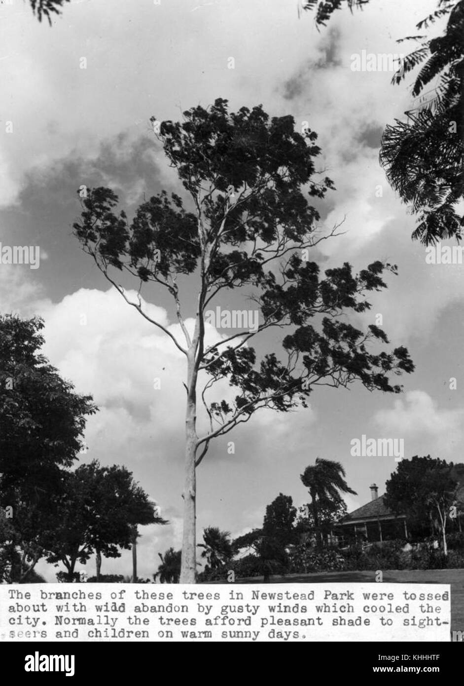 Newstead brisbane hires stock photography and images Alamy