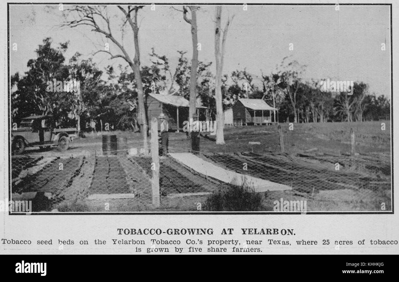 Yelarbon hires stock photography and images Alamy