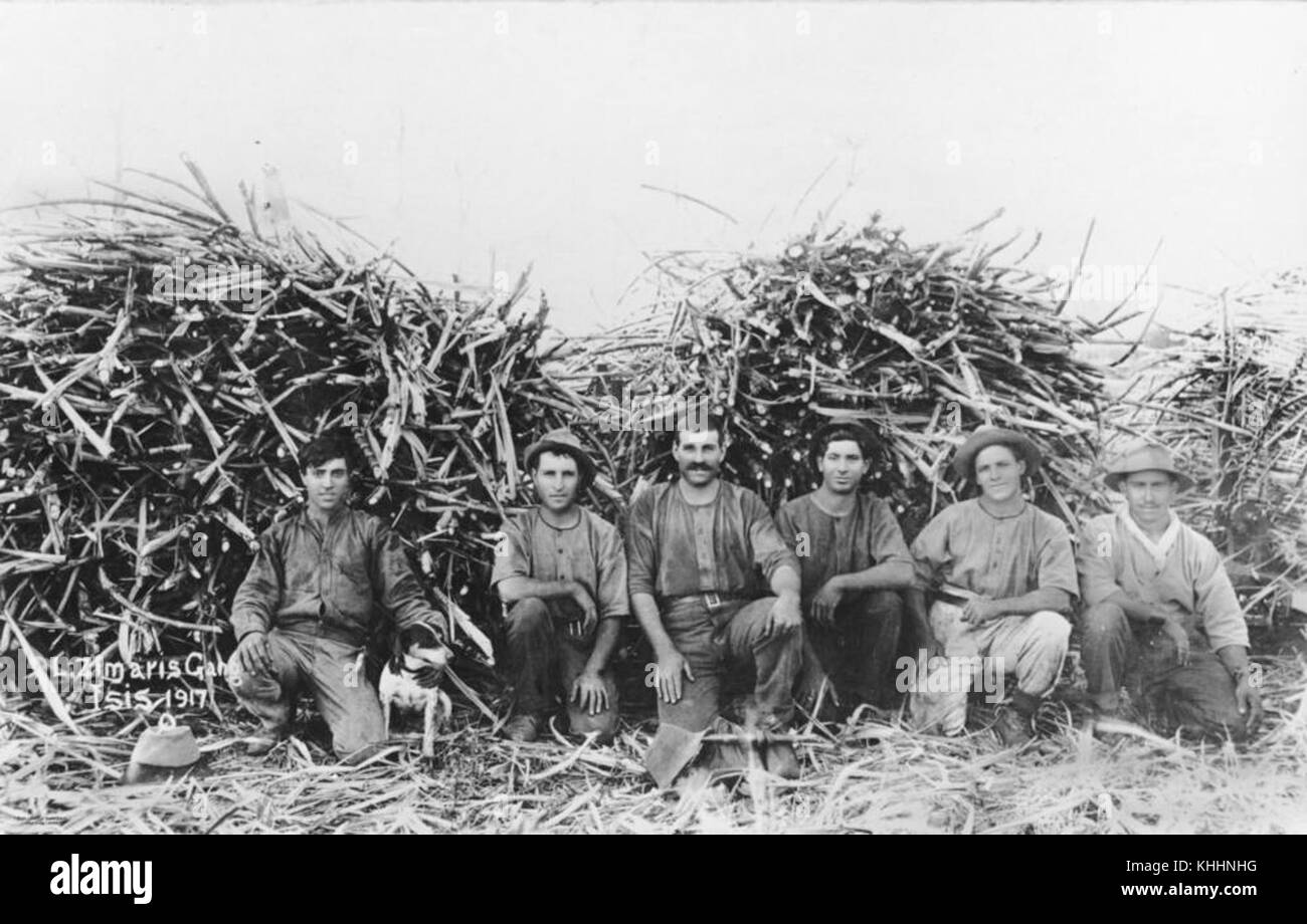 2 103815 Canecutters at Childers, 1917 Stock Photo Alamy