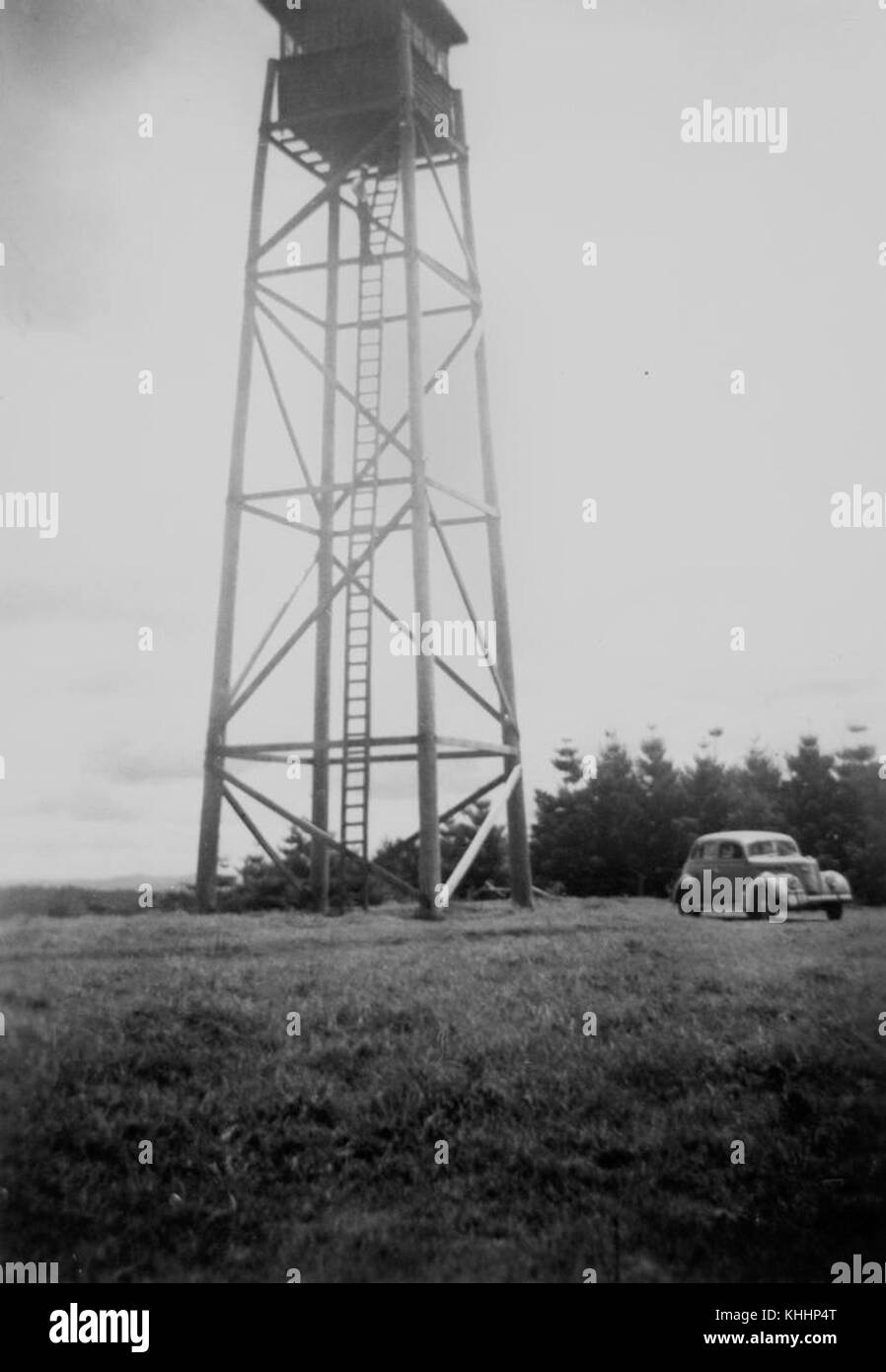 pix Black And White Fire Watchtower https www alamy com stock image 2 294915 forestry fire lookout tower yarraman 1946 165733032 html