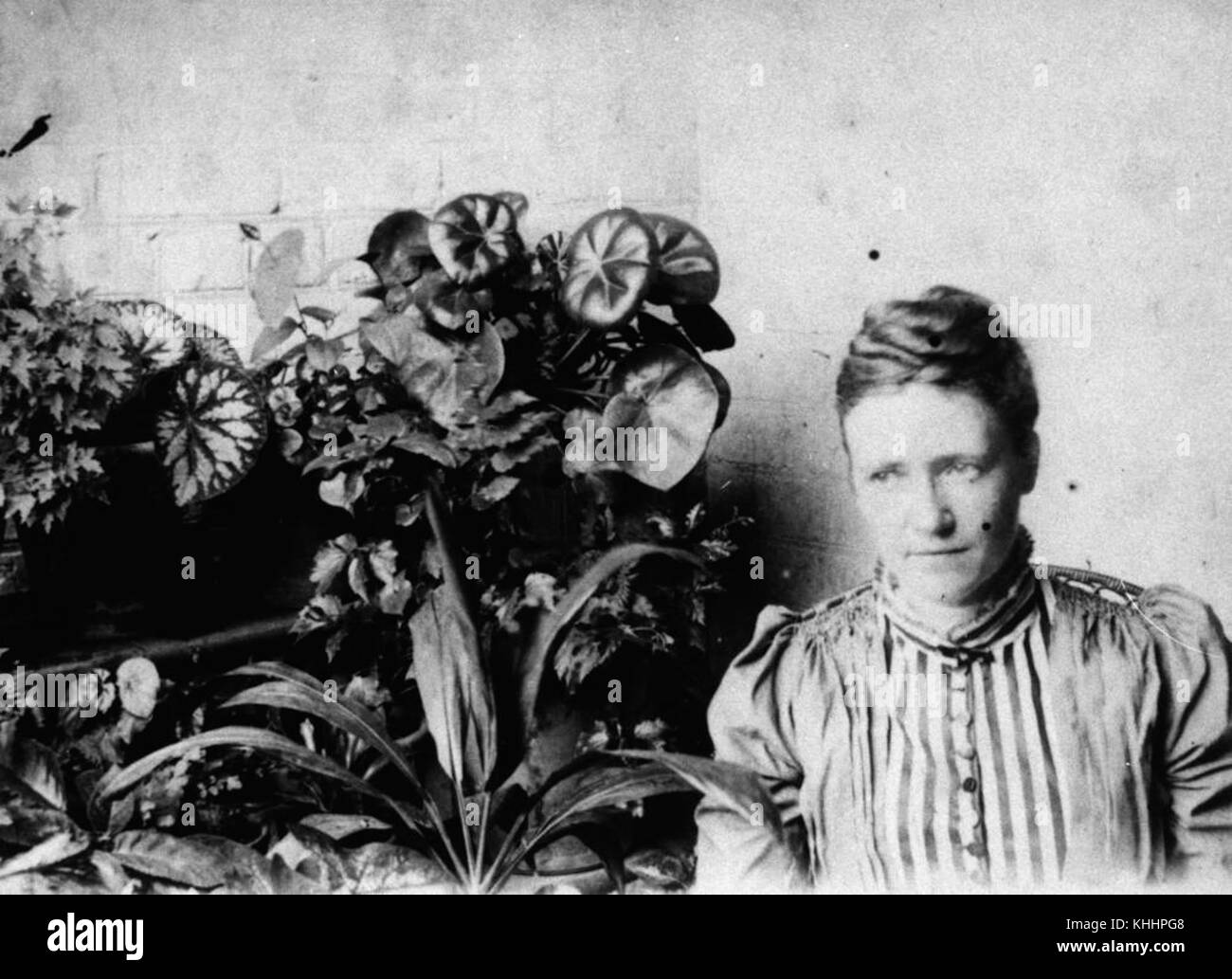 2 101904 Louisa Bancroft Stock Photo Alamy