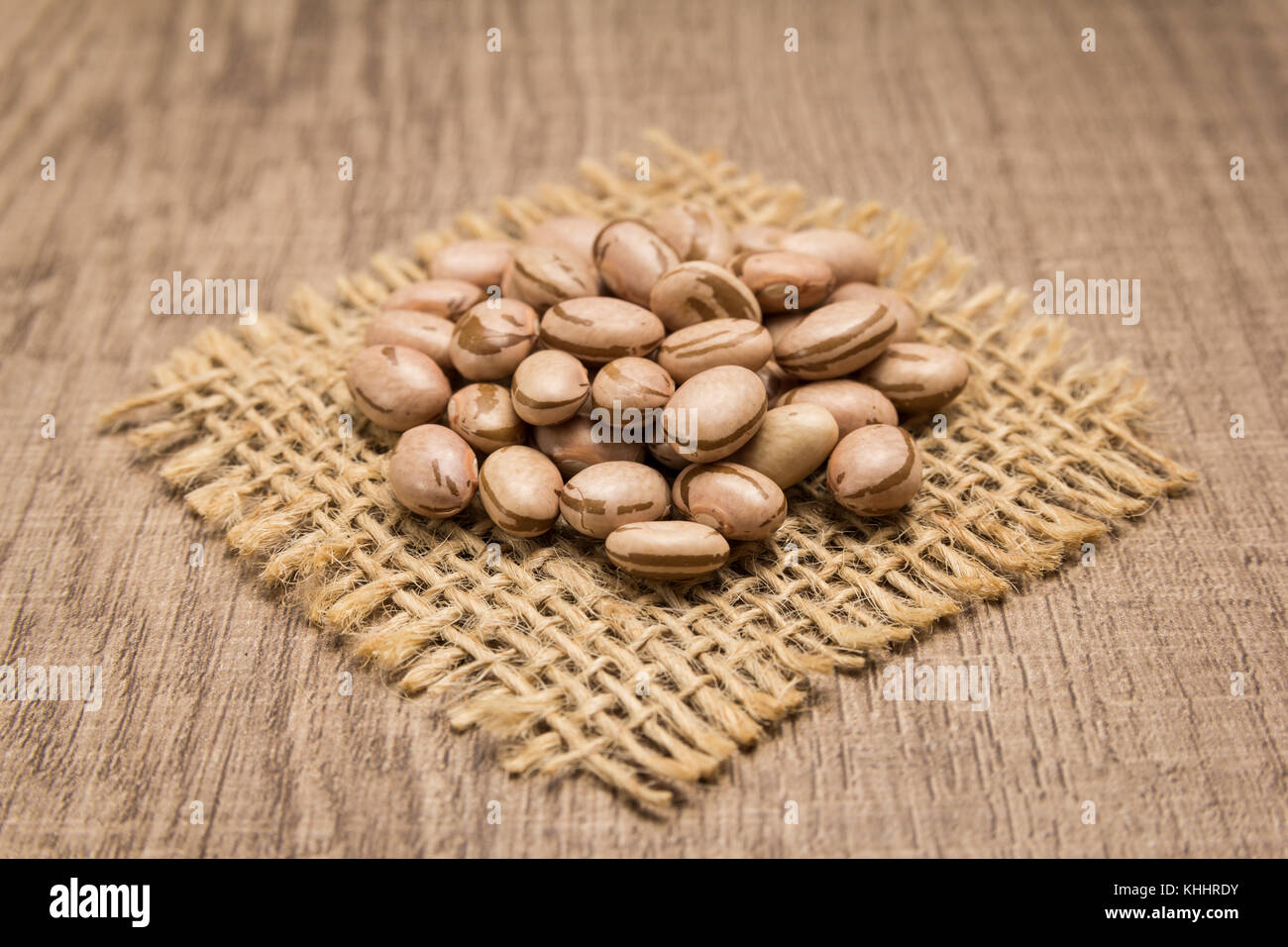 Phaseolus vulgaris is scientific name of Pinto Bean legume. Also known
