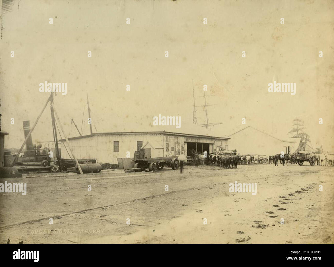 1 234927 Sugar storage sheds at Mackay, ca. 1885 Stock Photo Alamy