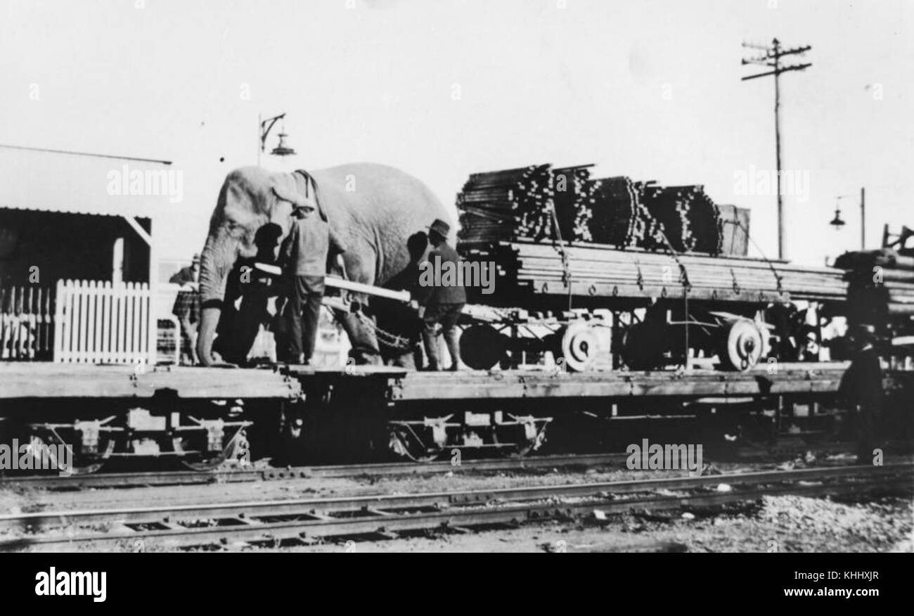 2 185639 Circus moving by train somwhere in Queensland, 1920s Stock Photo