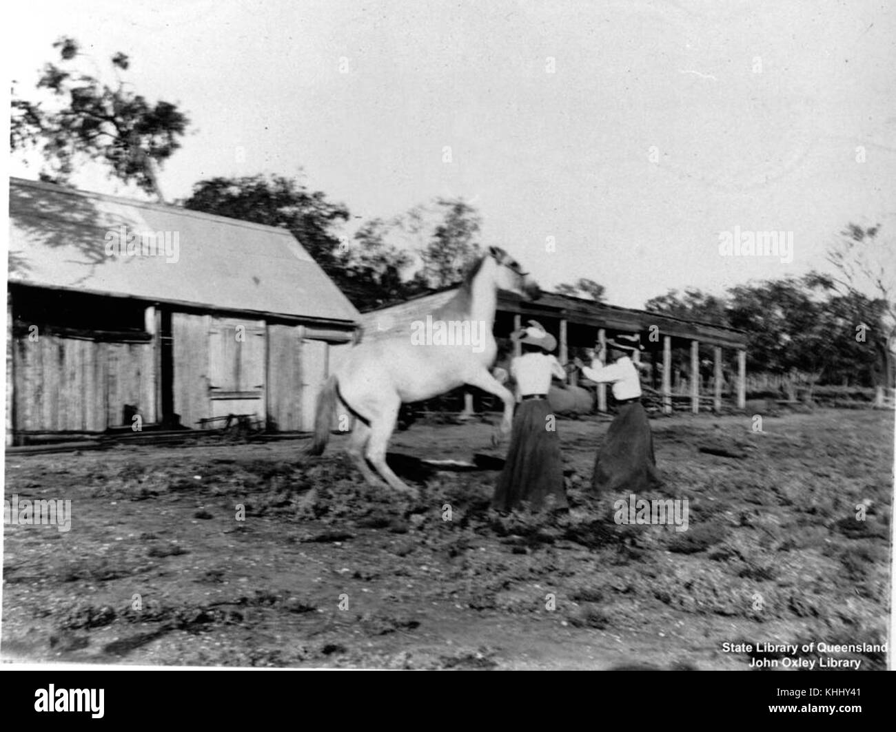 2 159218 Two women trying to calm a rearing horse on a farm in the Blackall District, Queensland, 1900-1910 Stock Photo
