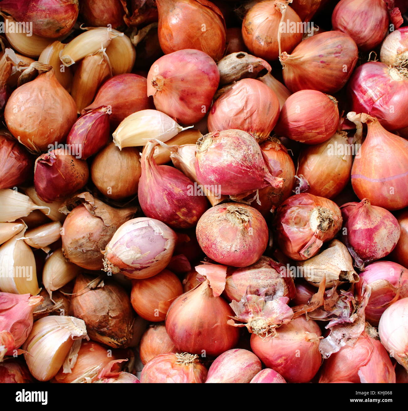 Small Red Onions Shallots Stock Photo 1796207